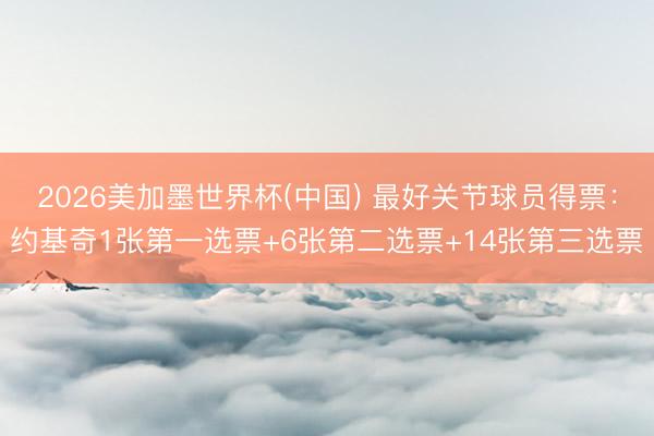 2026美加墨世界杯(中国) 最好关节球员得票:约基奇1张第一选票+6张第二选票+14张第三选票
