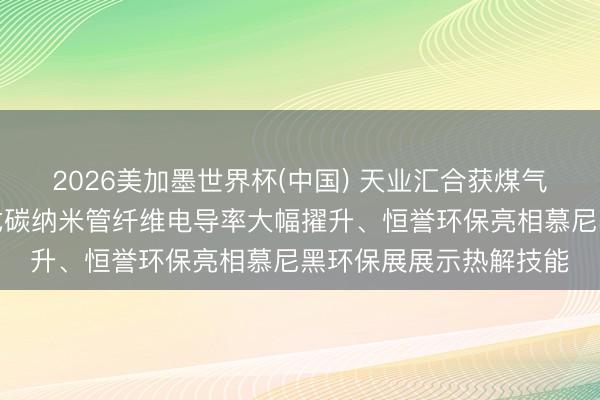 2026美加墨世界杯(中国) 天业汇合获煤气化净化安装专利、新式碳纳米管纤维电导率大幅擢升、恒誉环保亮相慕尼黑环保展展示热解技能