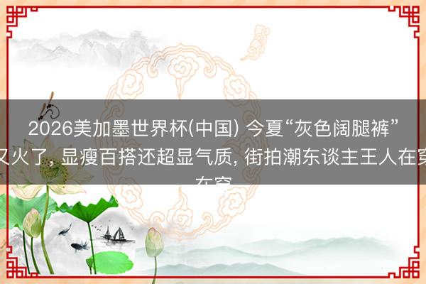 2026美加墨世界杯(中国) 今夏“灰色阔腿裤”又火了， 显瘦百搭还超显气质， 街拍潮东谈主王人在穿
