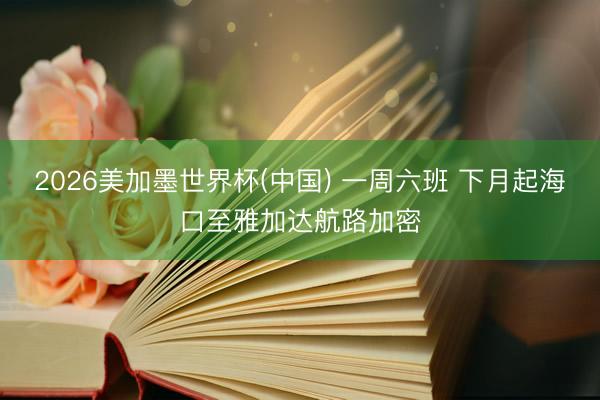 2026美加墨世界杯(中国) 一周六班 下月起海口至雅加达航路加密