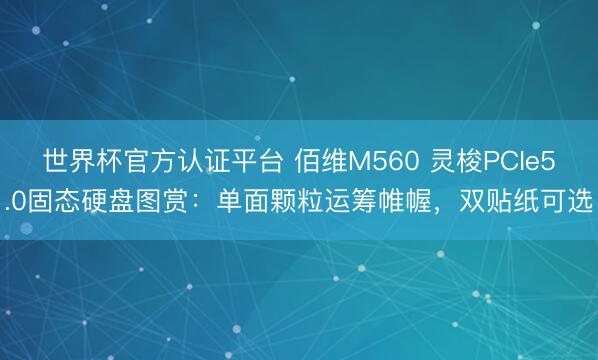 世界杯官方认证平台 佰维M560 灵梭PCIe5.0固态硬盘图赏：单面颗粒运筹帷幄，双贴纸可选