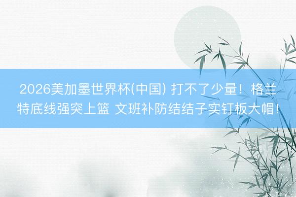 2026美加墨世界杯(中国) 打不了少量！格兰特底线强突上篮 文班补防结结子实钉板大帽！