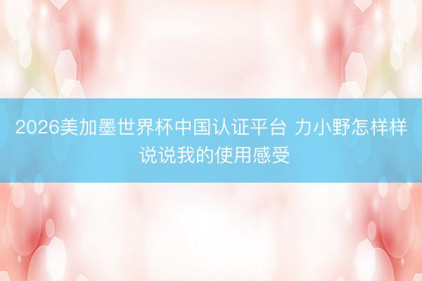 2026美加墨世界杯中国认证平台 力小野怎样样 说说我的使用感受