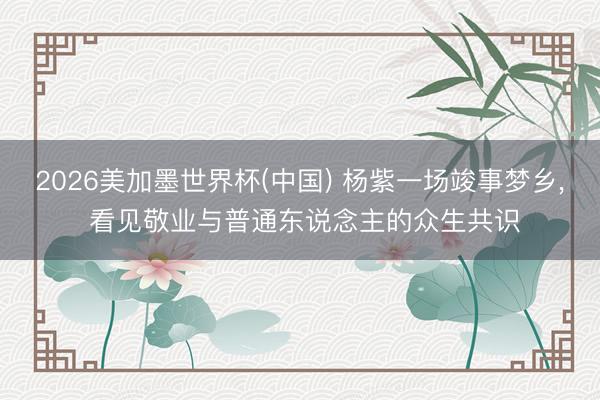 2026美加墨世界杯(中国) 杨紫一场竣事梦乡， 看见敬业与普通东说念主的众生共识