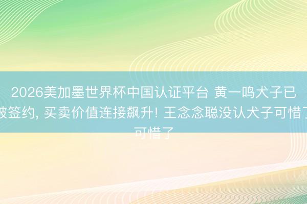 2026美加墨世界杯中国认证平台 黄一鸣犬子已被签约， 买卖价值连接飙升! 王念念聪没认犬子可惜了