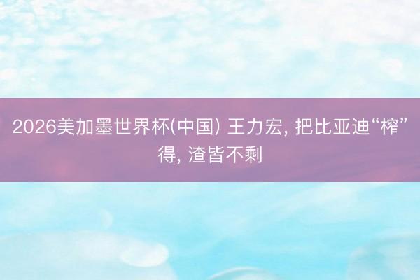 2026美加墨世界杯(中国) 王力宏， 把比亚迪“榨”得， 渣皆不剩