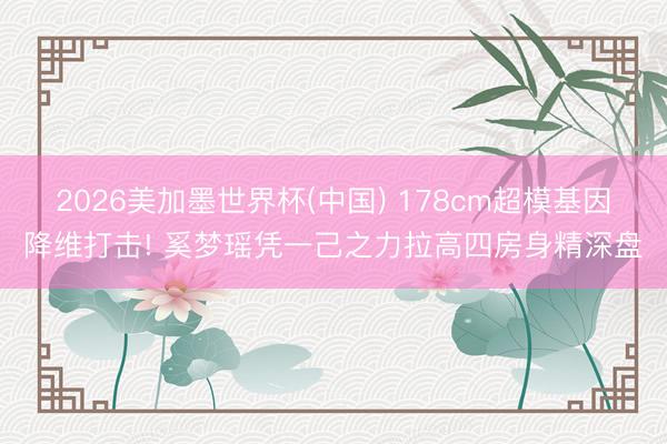 2026美加墨世界杯(中国) 178cm超模基因降维打击! 奚梦瑶凭一己之力拉高四房身精深盘