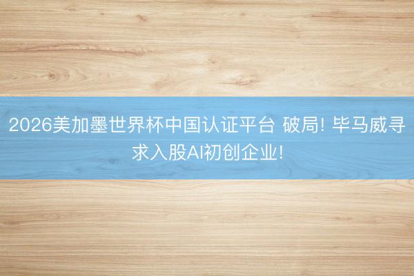2026美加墨世界杯中国认证平台 破局! 毕马威寻求入股AI初创企业!
