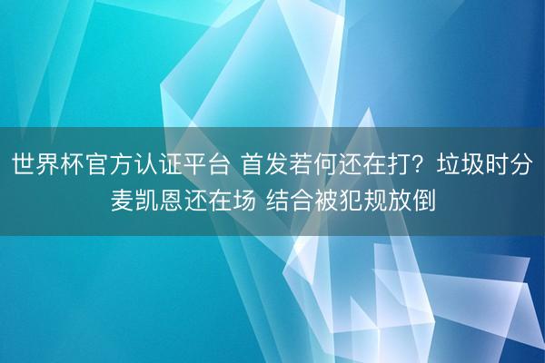 世界杯官方认证平台 首发若何还在打？垃圾时分麦凯恩还在场 结