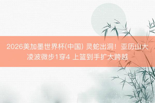 2026美加墨世界杯(中国) 灵蛇出洞！亚历山大凌波微步1穿