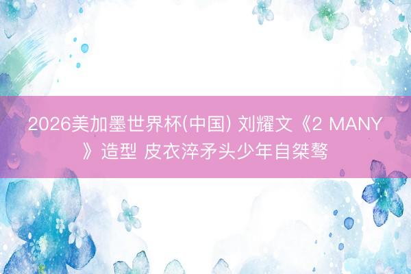2026美加墨世界杯(中国) 刘耀文《2 MANY》造型 皮衣淬矛头少年自桀骜