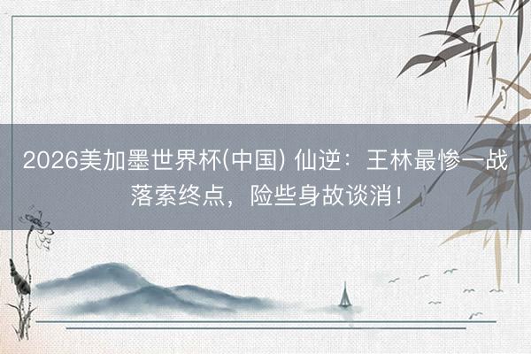 2026美加墨世界杯(中国) 仙逆：王林最惨一战落索终点，险些身故谈消！