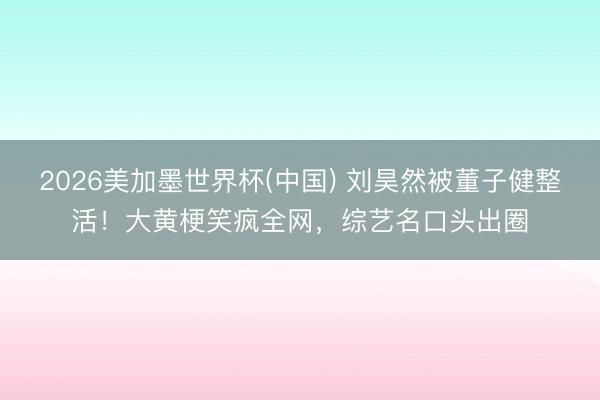 2026美加墨世界杯(中国) 刘昊然被董子健整活！大黄梗笑疯全网，综艺名口头出圈