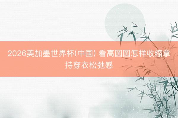 2026美加墨世界杯(中国) 看高圆圆怎样收缩拿持穿衣松弛感