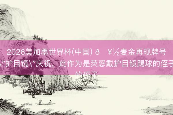 2026美加墨世界杯(中国) 🥽麦金再现牌号