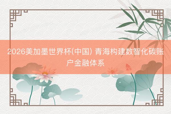 2026美加墨世界杯(中国) 青海构建数智化碳账户金融体系