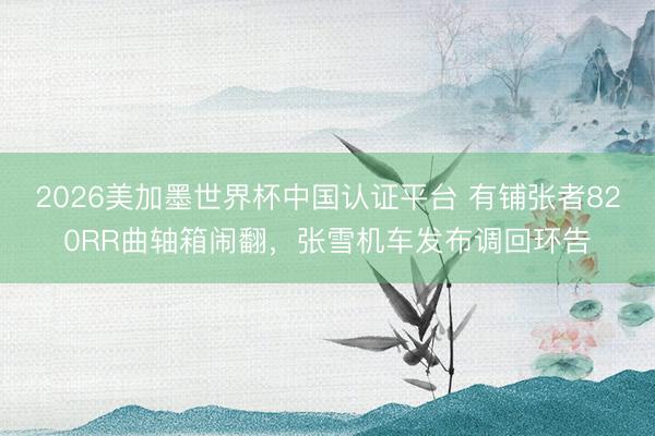 2026美加墨世界杯中国认证平台 有铺张者820RR曲轴箱闹翻，张雪机车发布调回环告