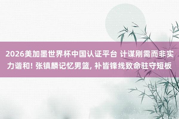 2026美加墨世界杯中国认证平台 计谋刚需而非实力谐和! 张镇麟记忆男篮， 补皆锋线致命驻守短板